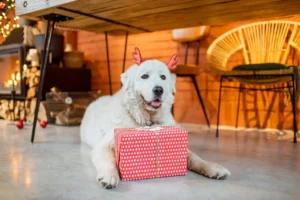 Regalos para dueños de mascotas